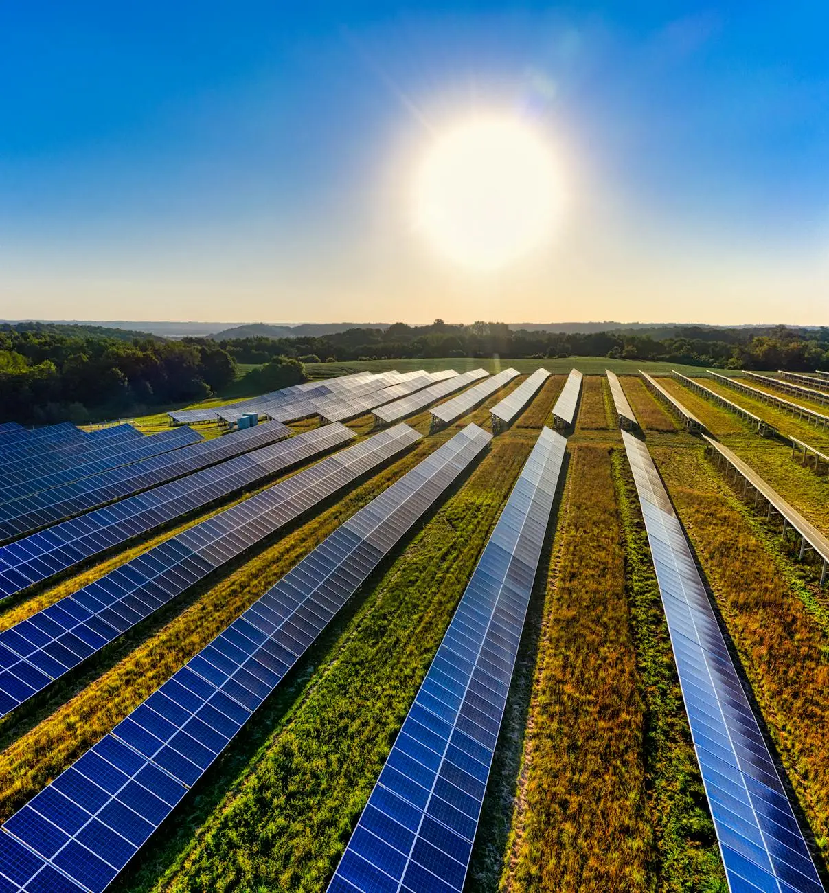 Ground Mounted Solar